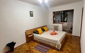 Miha modern&central apartament Malul Mureșului
